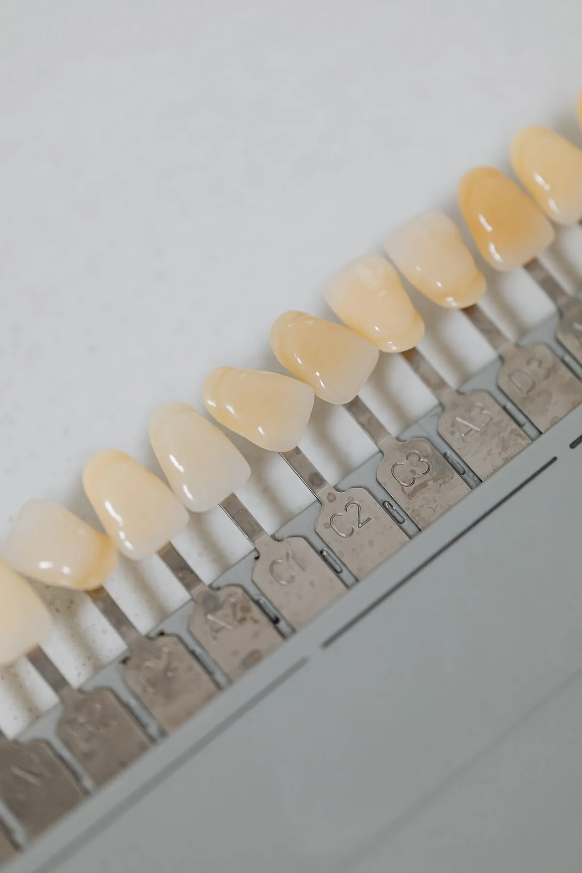 Dental shade guide with different tooth colours